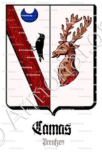 CAMAS
