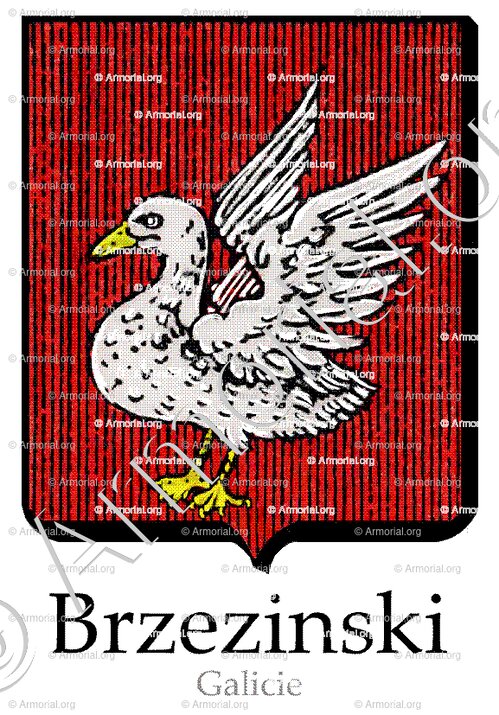 BRZEZINSKI_Galicie_Pologne (rtp)