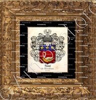 cadre-ancien-or-NICOL de MONTBLANC_Languedoc_France (1)+