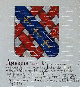 Des AMBROIS