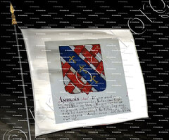 drapeau-des AMBROIS_Armorial Nice. (J. Casal, 1903) (Bibl. mun. de Nice)_France (i)