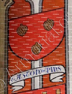 De PINS