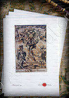 velin-d-Arches-BALBI Contea di Nizza_Genova, Savoya, Sardegna_