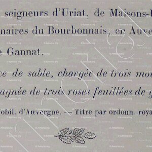 d'ARNOUX_Armorial du Bourbonnais (Cte G. de Soultrait, 1857)_France (ii)
