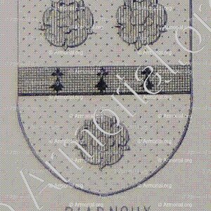 d'ARNOUX_Armorial du Bourbonnais (Cte G. de Soultrait, 1857)_France (iii)