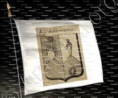 drapeau-KAYR DE BLUMENSTEIN_Auvergne_France