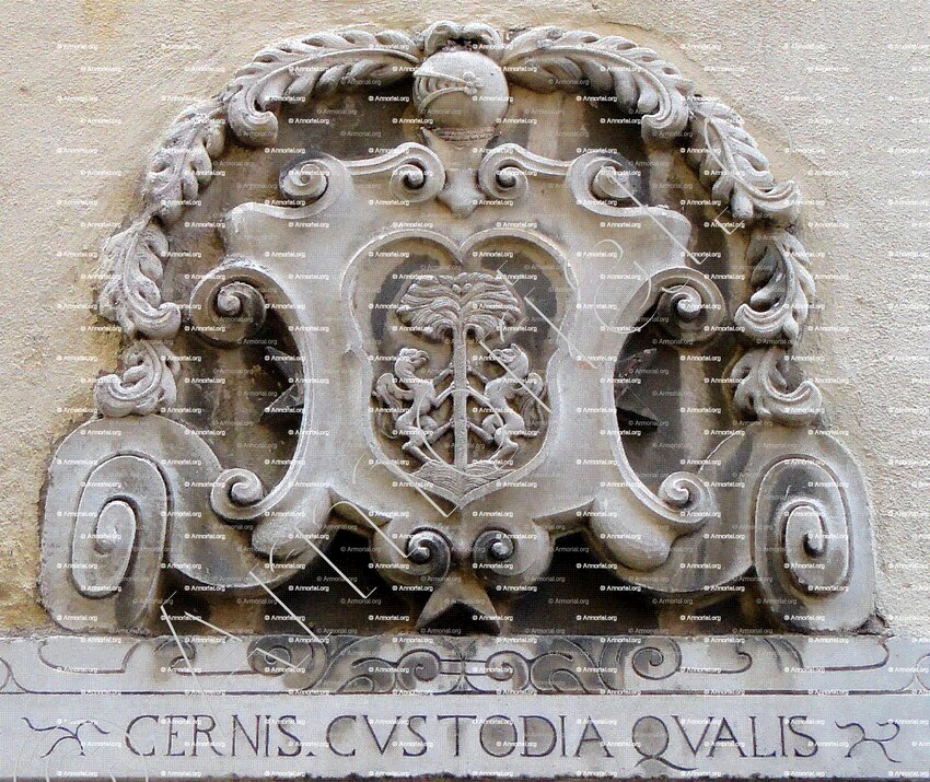 FAVALELLI_Bastia, Corse._France