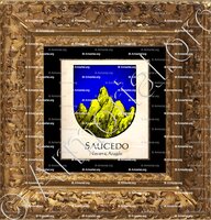 cadre-ancien-or-SAUCEDO_Navarra, Aragon_España (i)