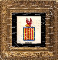 cadre-ancien-or-DE MERODE_Armorial royal des Pays-Bas_Europe