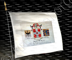 drapeau-DETTATI-DORIA_Armorial Nice. (J. Casal, 1903) (Bibl. mun. de Nice)_France (i)+