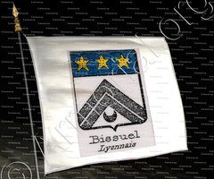 drapeau-BISSUEL_Lyonnais_