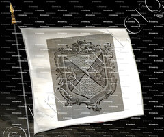 drapeau-REMY_Nobiliaire de Lorraine et Barrois, par Ambroise dom Pelletier (1703-1757)._France