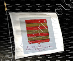 drapeau-DIEUDÉ _Armorial Nice. (J. Casal, 1903) (Bibl. mun. de Nice)_France (i)