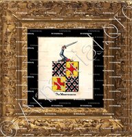 cadre-ancien-or-DE MESEMACRE_Armorial royal des Pays-Bas_Europe