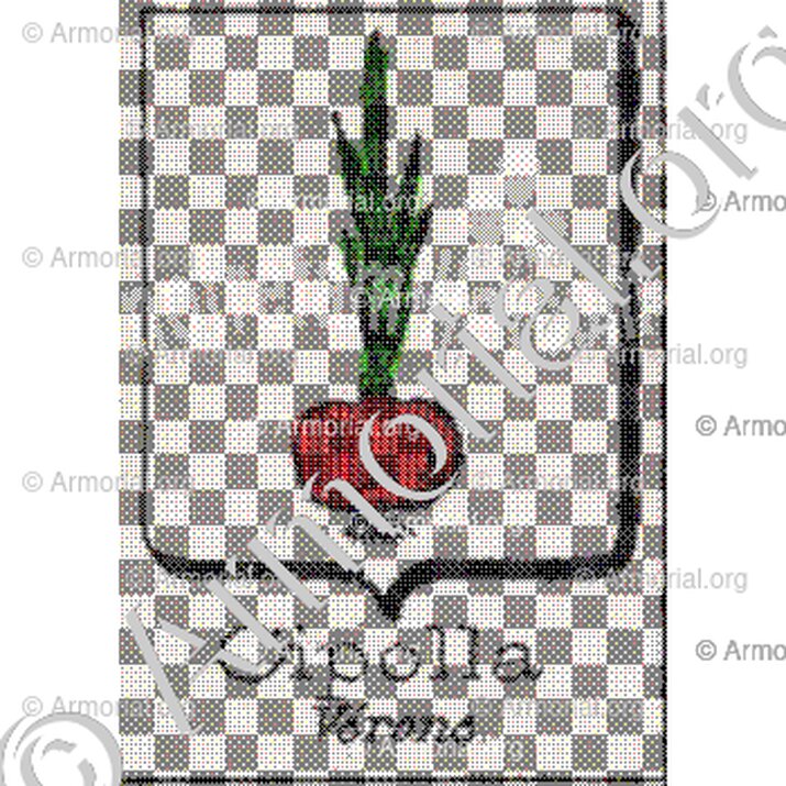 Cipolla__