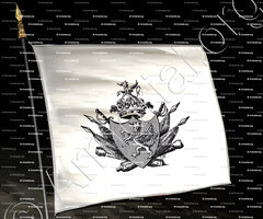 drapeau-DEBICKI_Noblesse d'origine polonaise. Aveyron._Pologne France