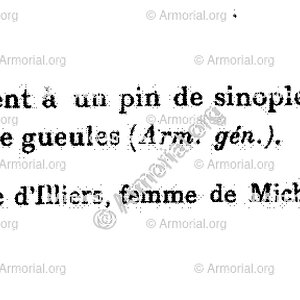 PINEAU_Armorial Chartrain_France (1)