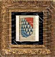 cadre-ancien-or-PINEAU_Armorial de France. Reg.Orléans (1696)._France ()