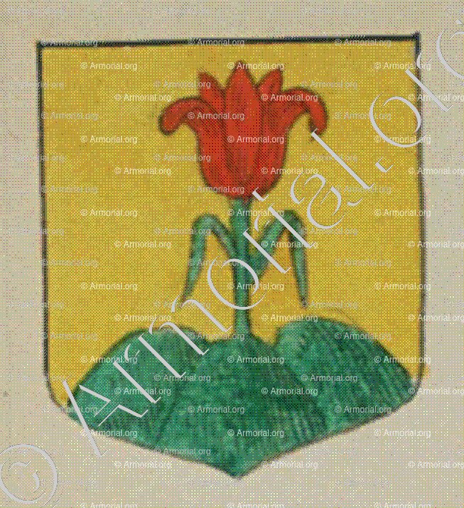 NICOLIN (Alsace)_Blason enregistré sous le règne de Louis XIV_France 