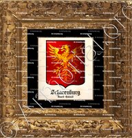 cadre-ancien-or-SCHARENBURG_Noord Holland_Nederland (i)