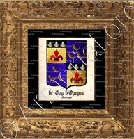 cadre-ancien-or-de GOY d'OGOGNE_Auvergne_France (iv)