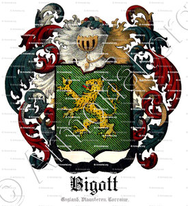 BIGOTT