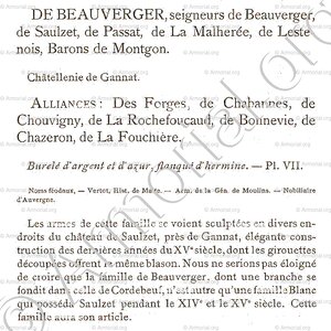 de BEAUVERGER_Bourbonnais_France (9)