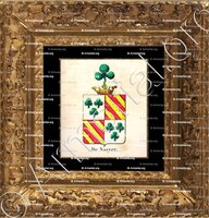 cadre-ancien-or-DE NAEYER_Armorial royal des Pays-Bas_Europe