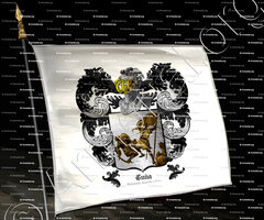 drapeau-CUÑA_Valladolid, Castilla y León._España (+)