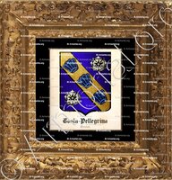 cadre-ancien-or-COSTA-PELLEGRINA_Libro d'oro della Nobilita di Genova._Italia ()
