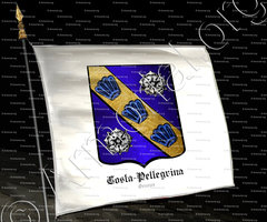 drapeau-COSTA-PELLEGRINA_Libro d'oro della Nobilita di Genova._Italia ()