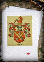 velin-d-Arches-CURIO_Wappenbuch der Stadt Basel . B.Meyer Knaus 1880_Schweiz