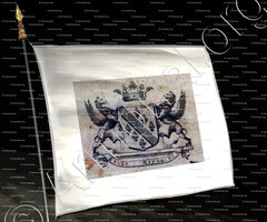 drapeau-De CONSTANTIN de CHATEAUNEUF_Contea di Nizza_Ducato di Savoia, Regno di Sardegna.