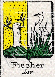 FISCHER