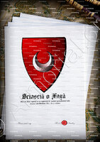 velin-d-Arches-SCIASCIA o XAXA_Ximenes Xaxà, Sardegna, 1392. (Armi primitive)_Italia (i)