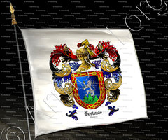 drapeau-COSTINAS_Navarra_España (2)