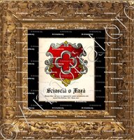 cadre-ancien-or-SCIASCIA o XAXA_Ximenes Xaxà, Sardegna, 1400. (Nuove armi)_Italia (i)