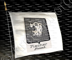 drapeau-FISCHER_Nuremberg_Allemagne