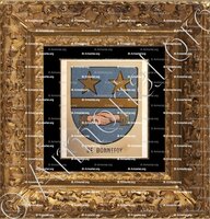 cadre-ancien-or-de BONNEFOY_Bourbonnais_France (1)