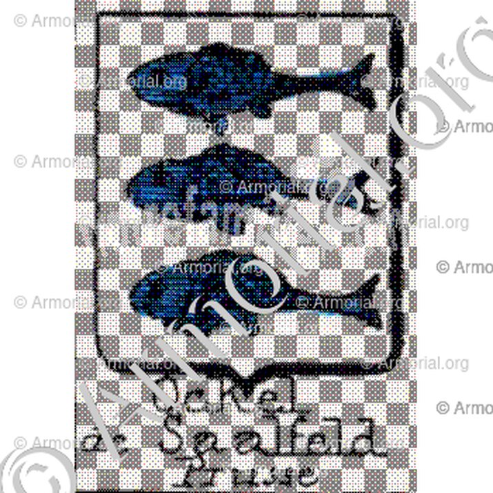 Ockel de Saalfeld__