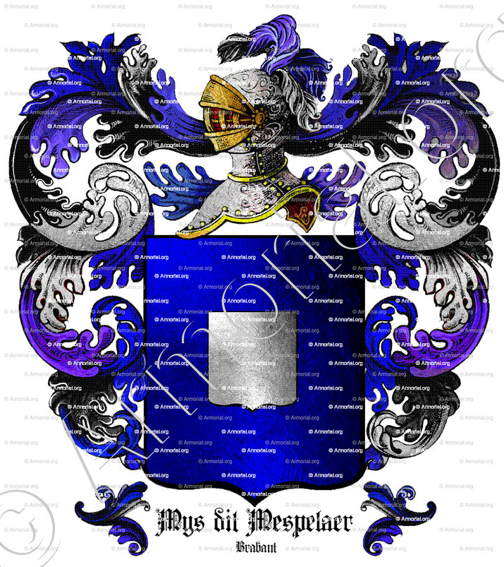 MYS dit MESPELAER_Brabant_Belgique (ii)
