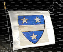drapeau-FAUCHIER_Ancien Duché de Savoie_États de Savoie