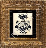 cadre-ancien-or-REISACH_Bayerischer Adel. _Heiliges Römisches Reich