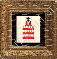 cadre-ancien-or-DE PONTHIEURE DE BERLAERE_Armorial royal des Pays-Bas_Europe