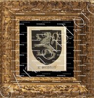 cadre-ancien-or-de BRESSOLLES_Bourbonnais_France