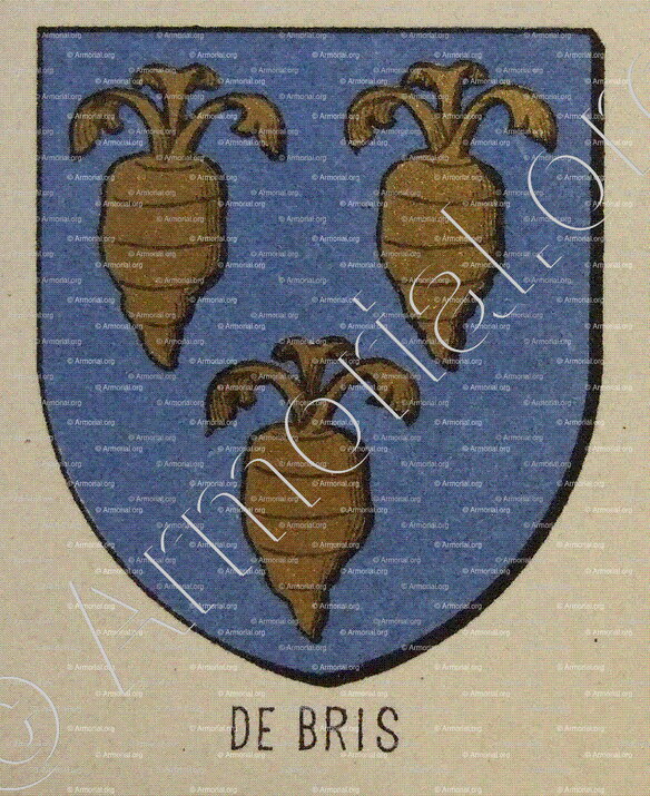 de BRIS_Bourbonnais_France