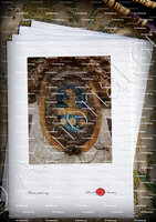 velin-d-Arches-NASELLI_Castellammare di Golfo. Sicilia._Italia