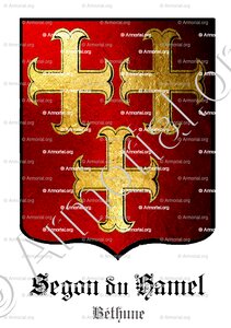 SEGON du HAMEL