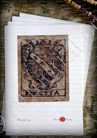 velin-d-Arches-FERETTA_Contea di Nizza_Ducato di Savoia, Regno di Sardegna.