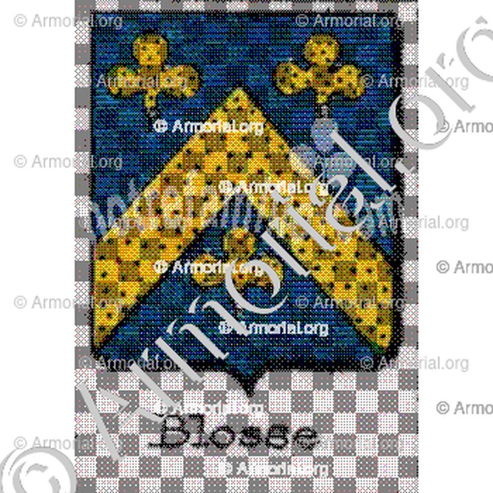 Blosse__